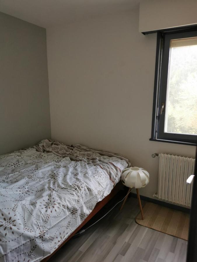 Appartement Torgon Vionnaz ภายนอก รูปภาพ